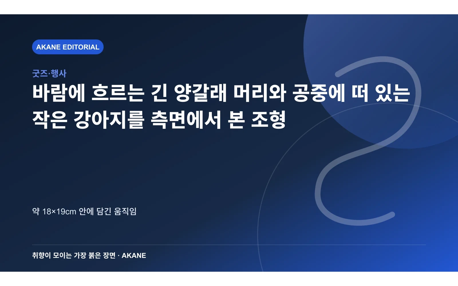 바람에 흐르는 긴 양갈래 머리와 공중에 떠 있는 작은 강아지를 측면에서 본 조형. 약 18×19cm 안에 담긴 움직임의 핵심 정보를 시각화한 아카네 편집 이미지