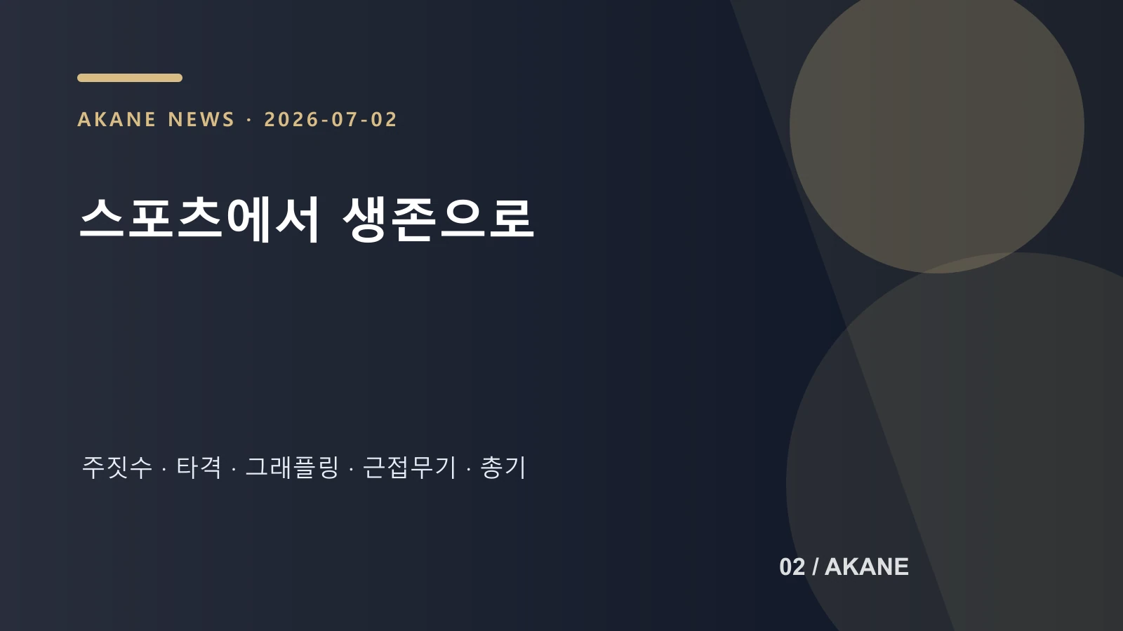 제이슨편 액션 범위를 정리한 아카네 정보 이미지