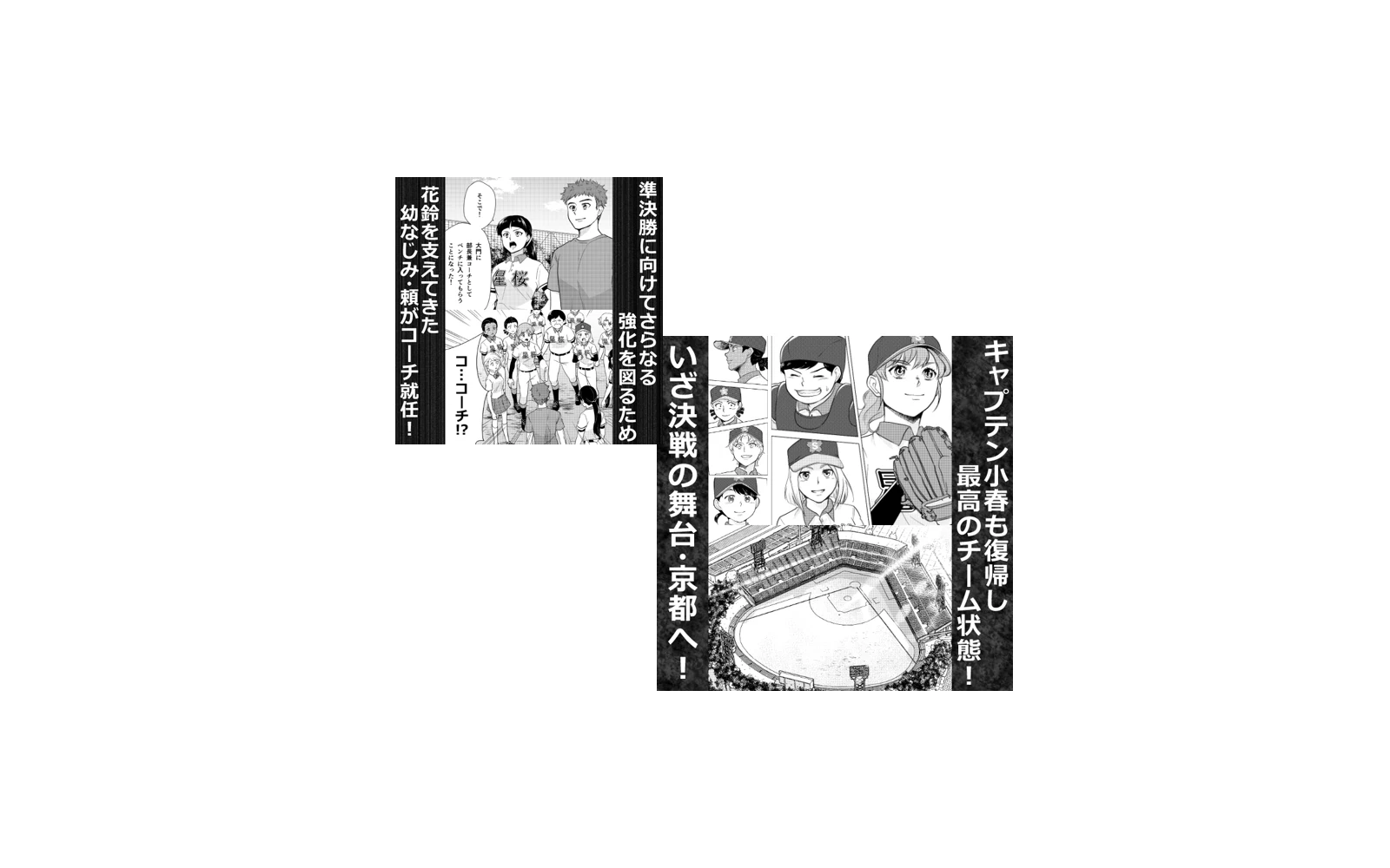 주인공 기리타니 카린과 동료들의 여자 고교 야구 도전을 그린 공식 작품 이미지